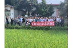 全成農業(yè)2020年水稻品種觀摩會8月20